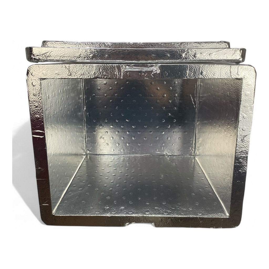 Caixa De Isopor 45l Laminada Para Bag Espetos Bebi