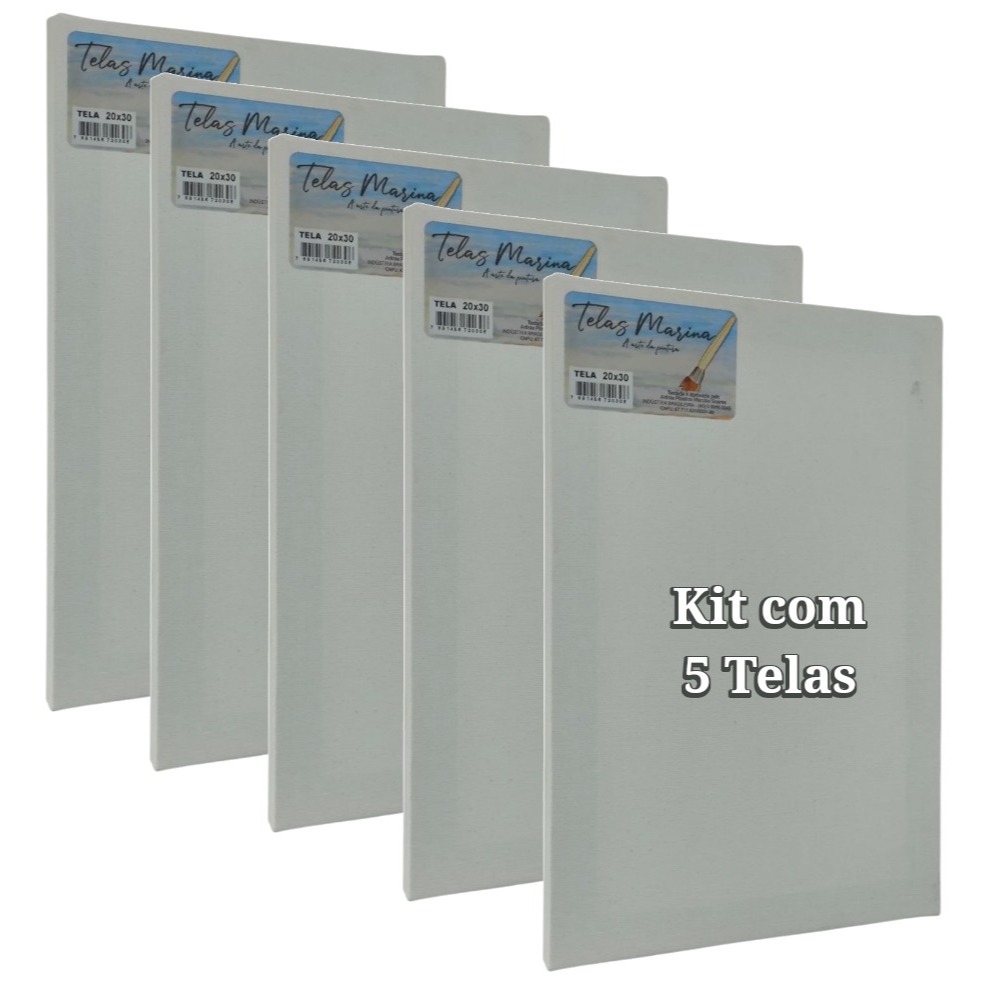Kit 5 Telas de Pintura 20×30 Algodão Ótima 