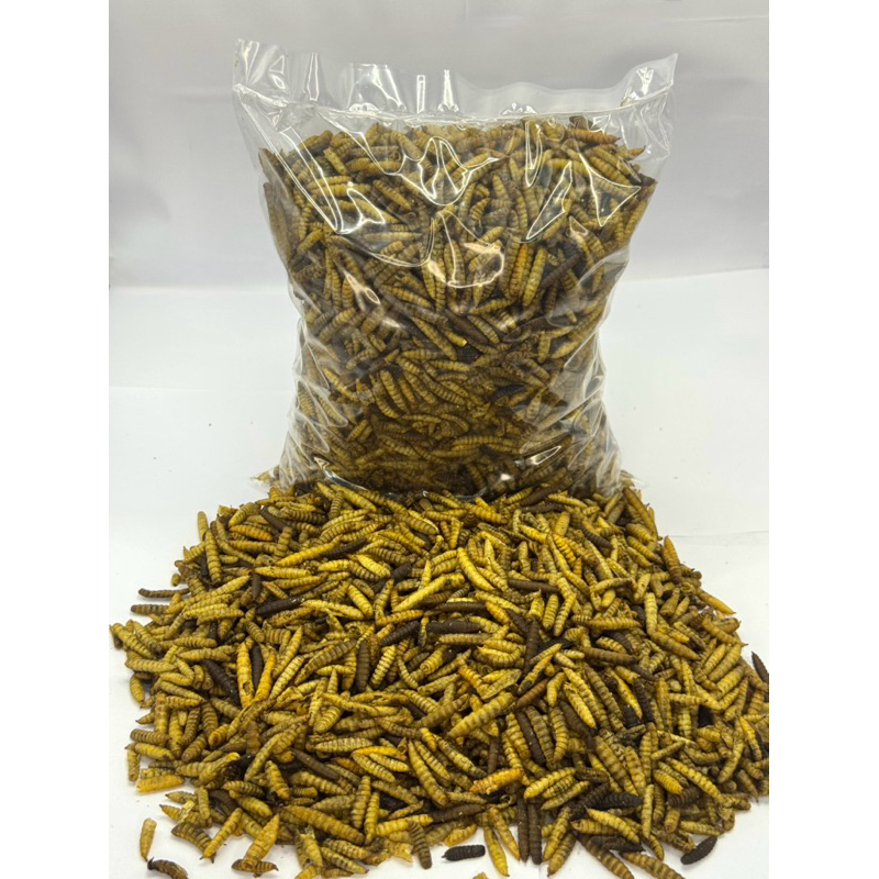 Tenébrio Desidratado Black Protein P/ aves Roedor