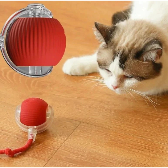 Bola Brinquedos De Rolamento Automático Cauda Do 