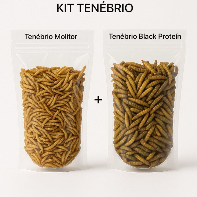 KIT Tenebrio Proteína Pura Alimento Nutritivo P/ 