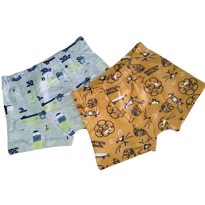 kit Apartir de R$ 22,49 cueca box infantil menino 