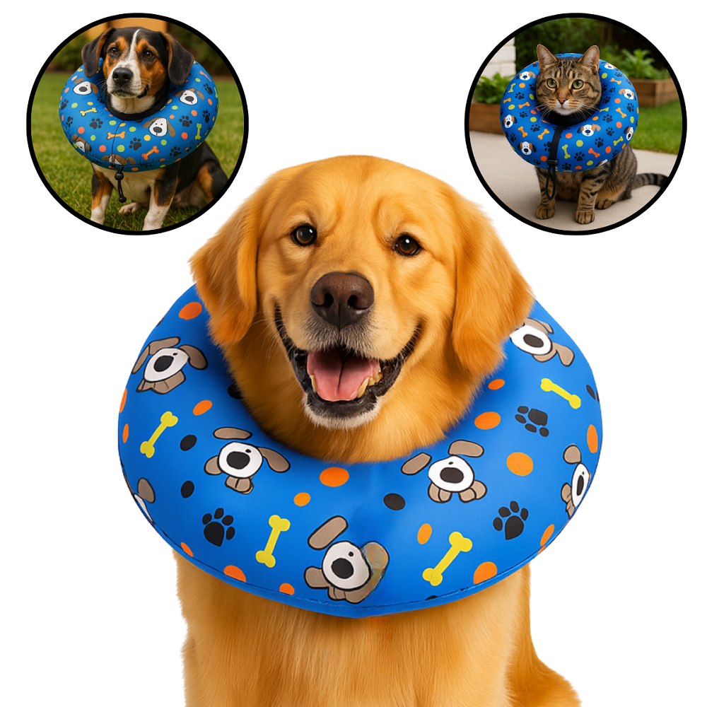 Colar Elizabetano Cone Pós Cirugico de Cachorros