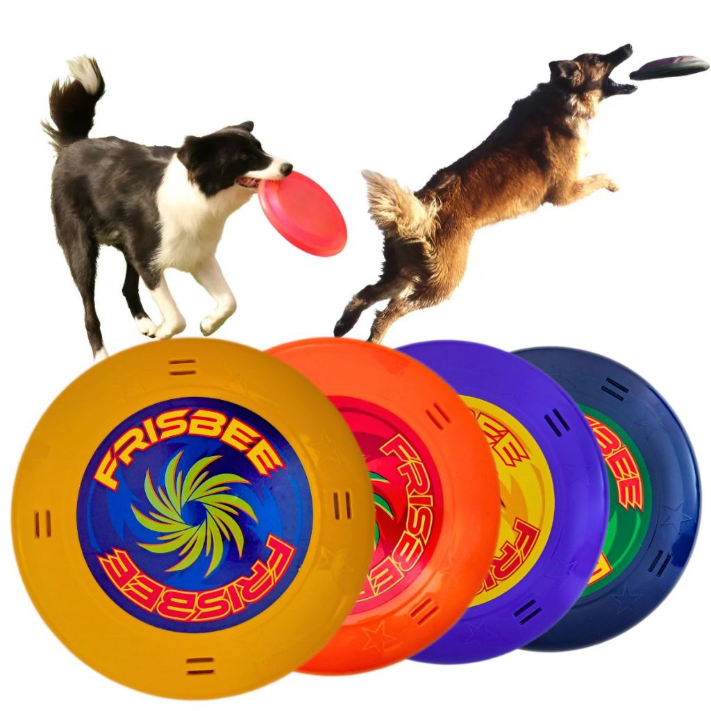 Kit 4 Frisbees Bumerangue Brinquedo Disco Pet Cach