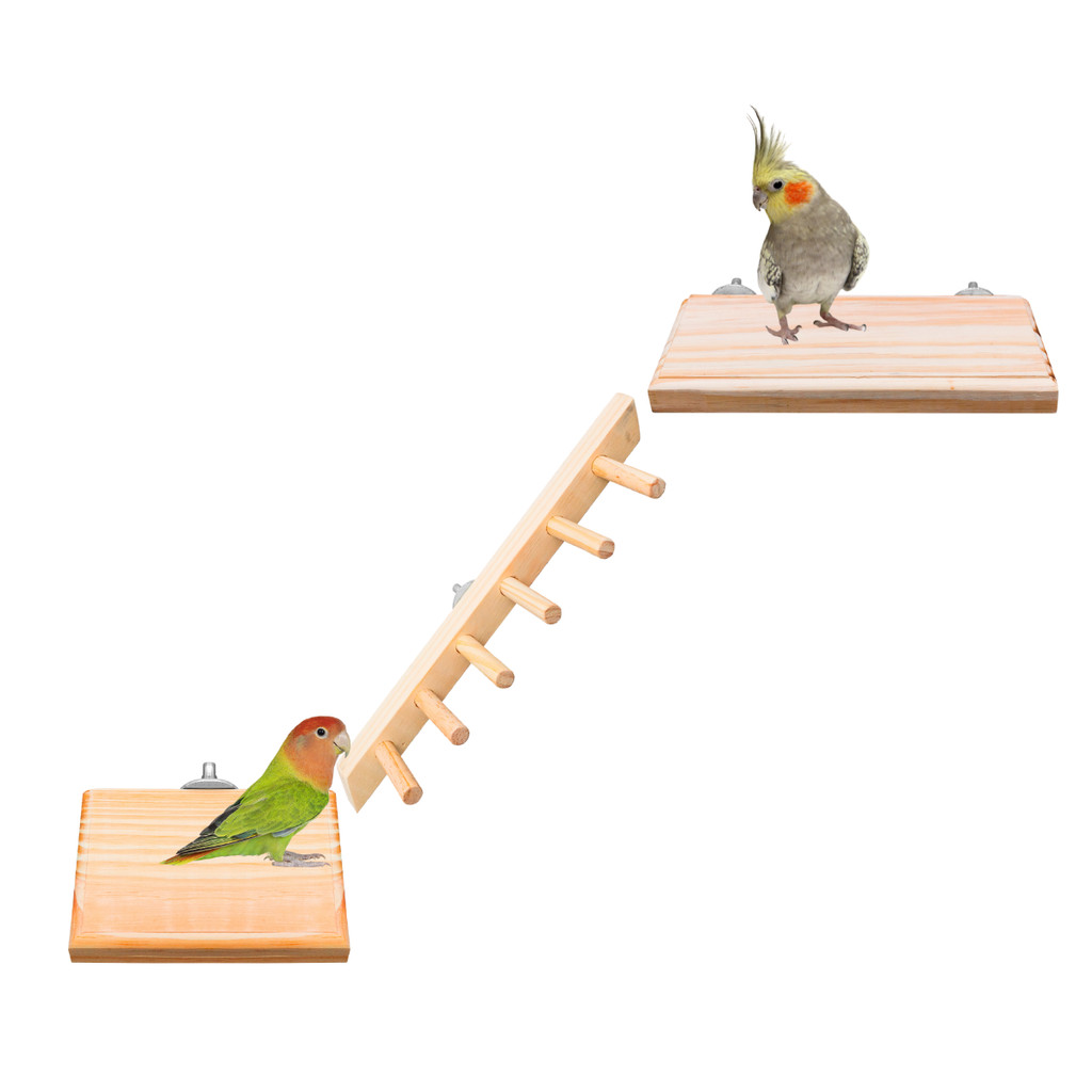 Kit Poleiros Plataforma e Escadinha Para Aves Calo