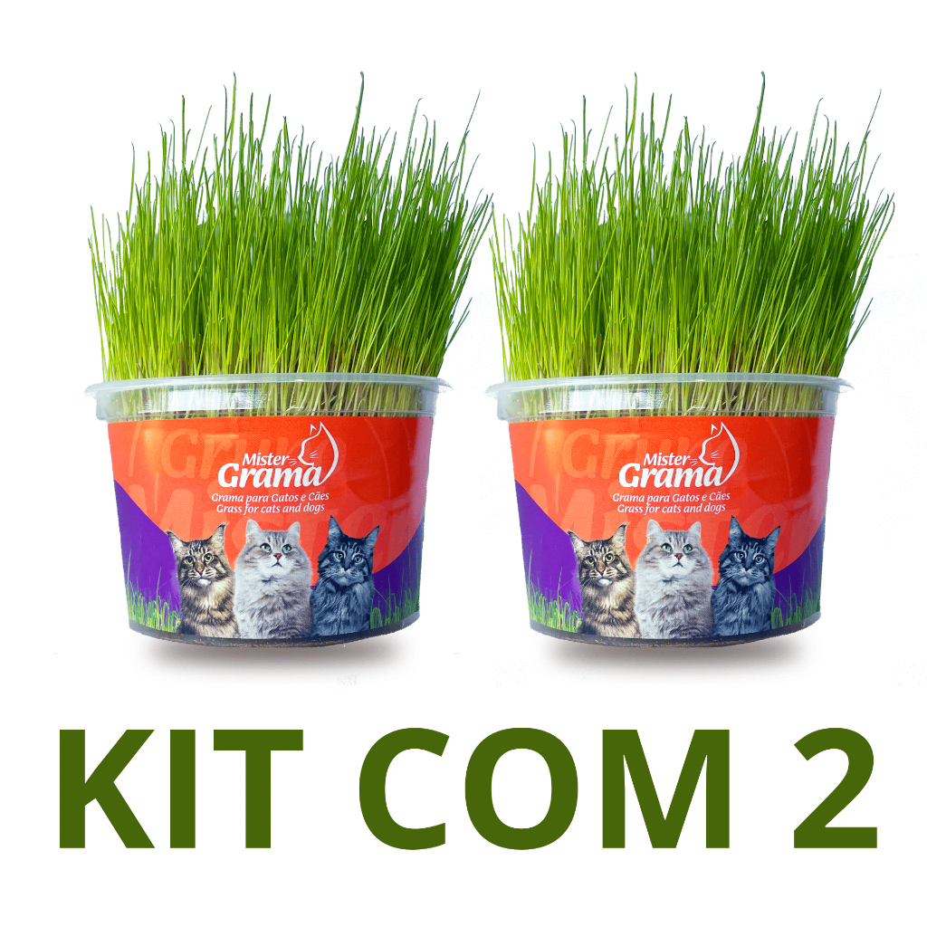 Grama Para Gato Mister C/ 2 Unidades  Auxilia na D
