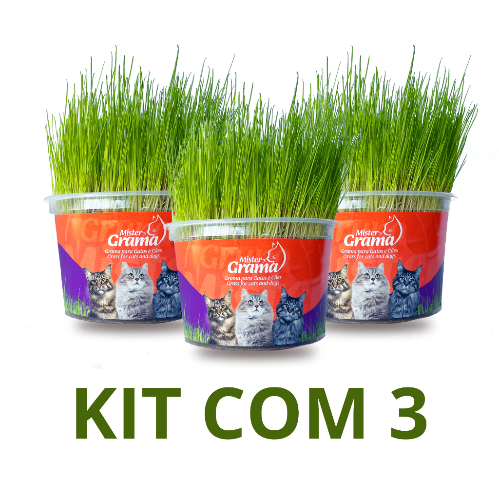 Grama Para Gato Mister C/ 3 Unidades  Auxilia na D