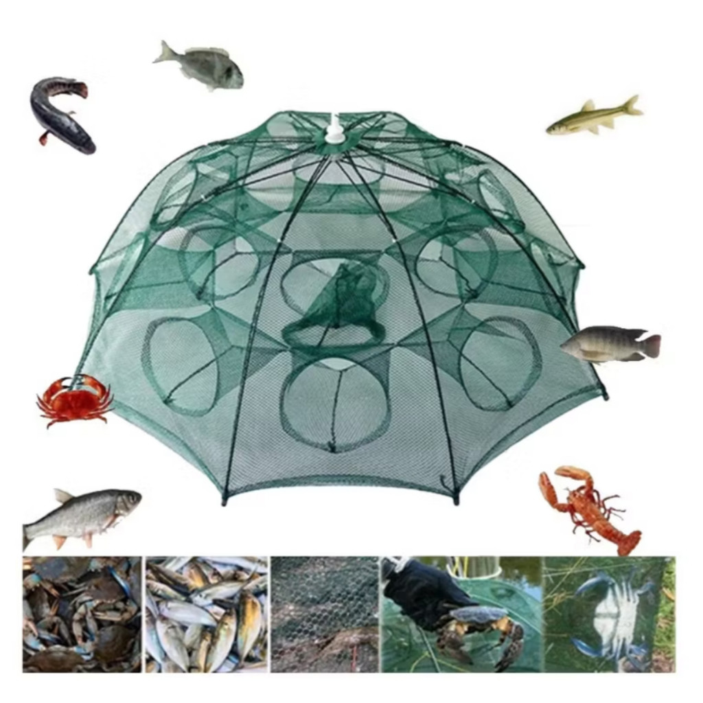 Covo Armadilha Com 6 ou 8 Furos Pesca Peixes Siri