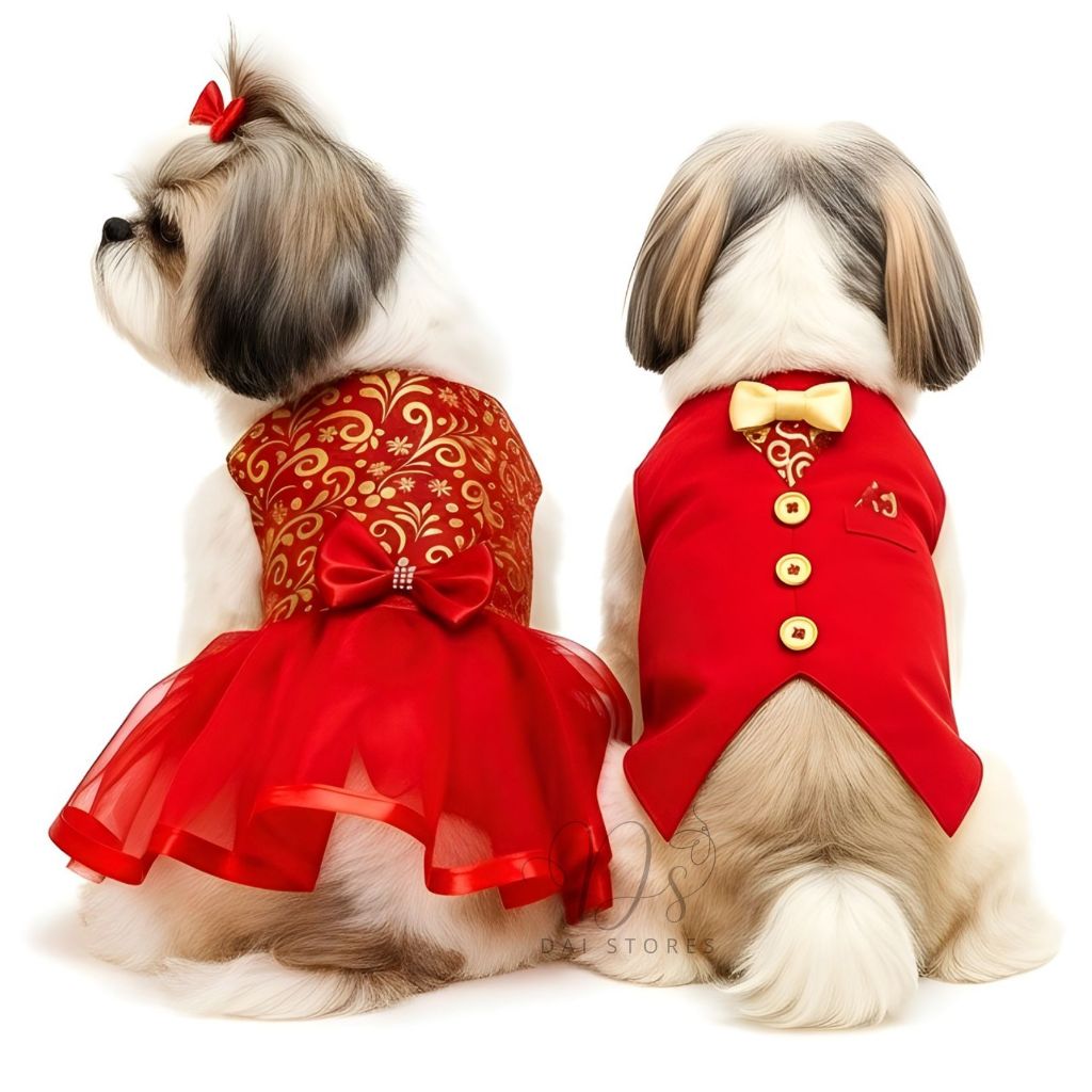 Roupa Pet Luxo Natal Papai Noel Roupinha Vestido C