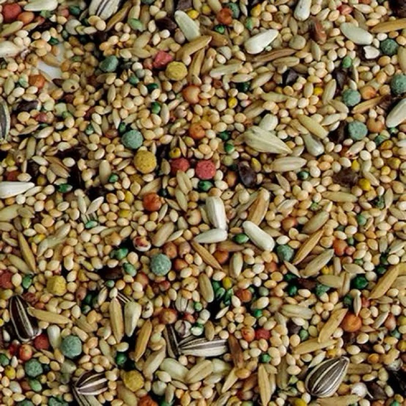 MISTURA PARA CALOPSITA SUPER PREMIUM 5KG