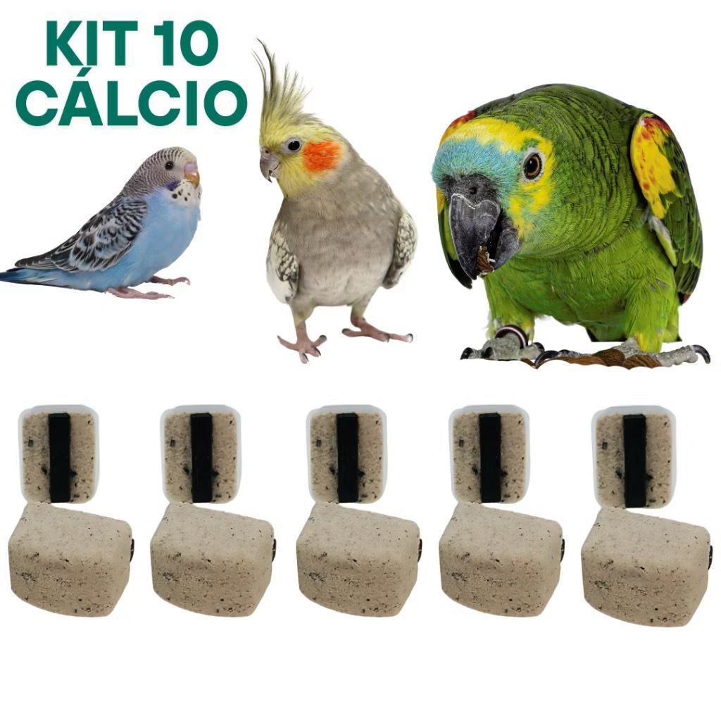 Pedra de Cálcio para Pássaros Kit pet Auxilia na