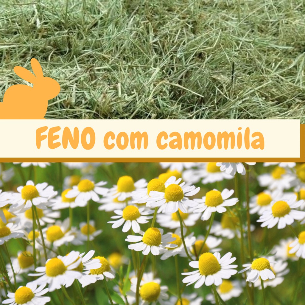 Feno Coast Cross com Camomila – 500g