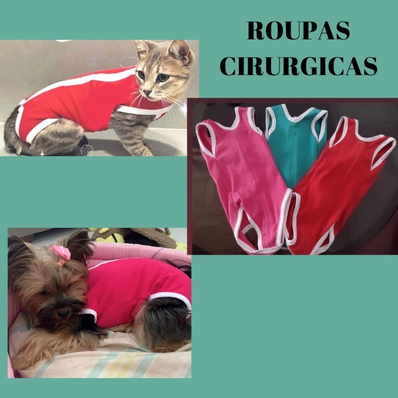 Roupa Pós-cirúrgica Gatos e Cão,  Gatos e cacho