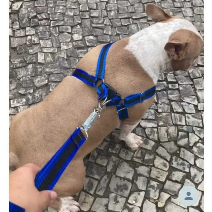 Peitoral de cachorro grande médio ou pequeno port
