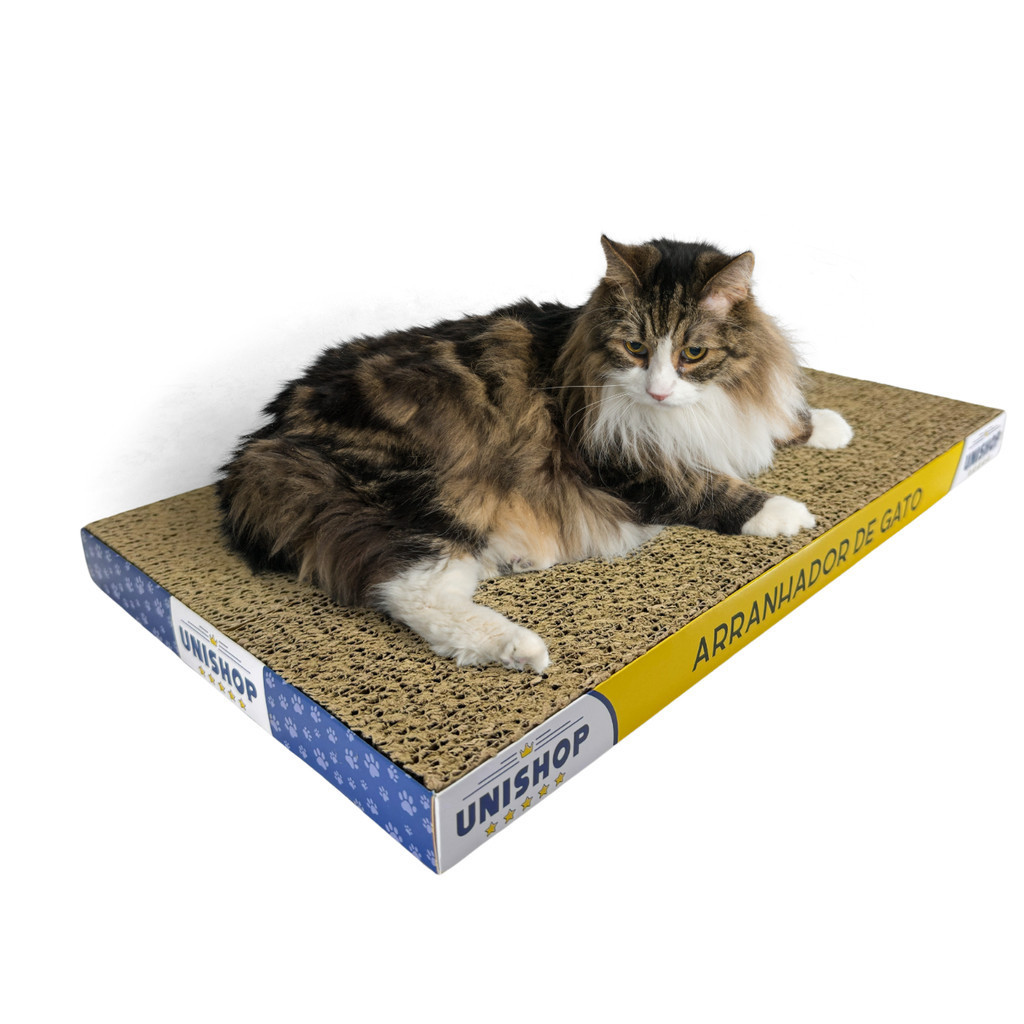 Arranhador Para Gato de Papelão Prático e Modern