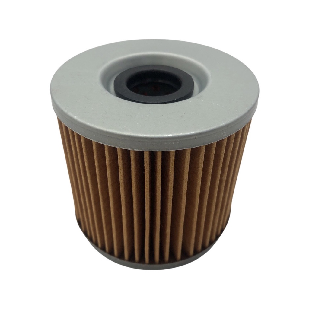 Filtro Óleo Gs 500 1990 A 2005