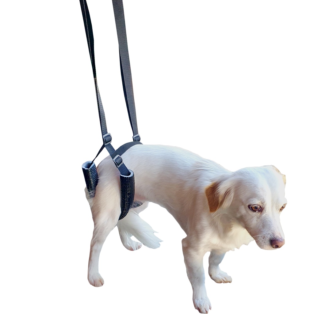 Órtese Suporte Quadril Cachorro Pet Regulável Fi