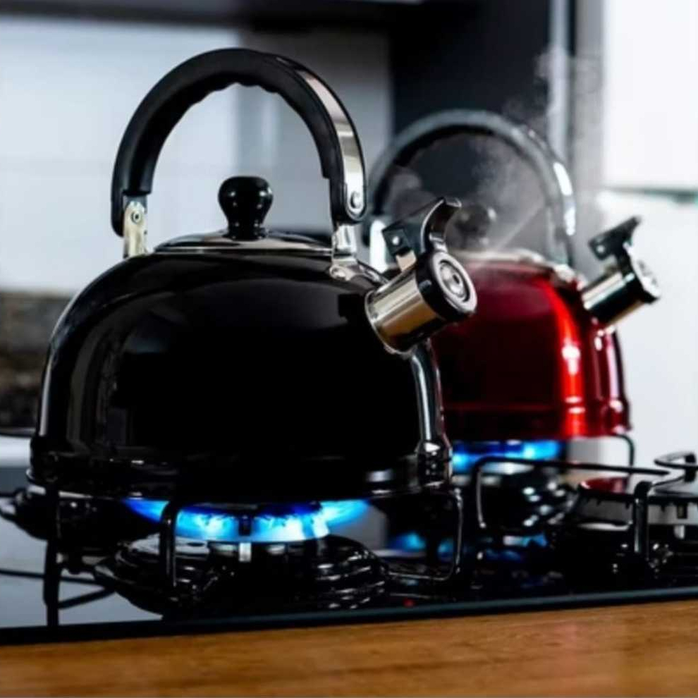 Chaleira Inox com Apito Ferve Rápido Fogão Gás 
