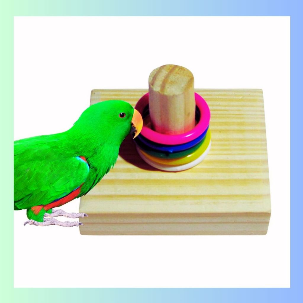 Brinquedos Para Calopsita Tira Argola Treinamento 