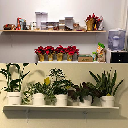 24 Peças Suporte Para Prateleira Reutilizável M�