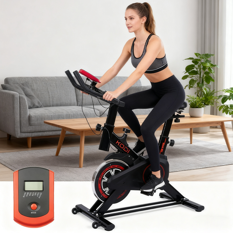 Bicicleta Spinning Ergométrica Fitness Casa Silen