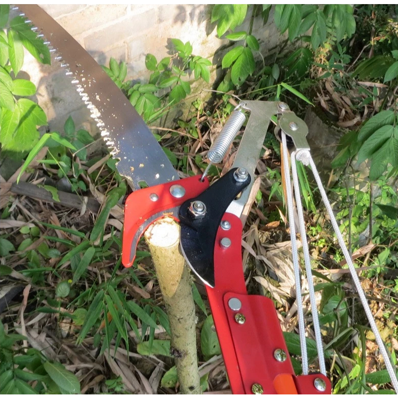 Serrote Podador De Galho Alto 2 Em 1 Poda Com Serr