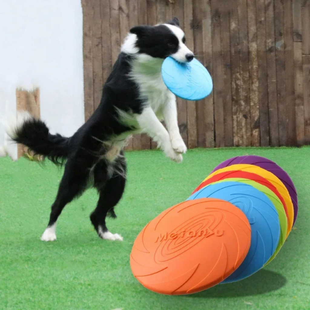 Frisbee Silicone Brinquedo Pet Resistente Maleáve
