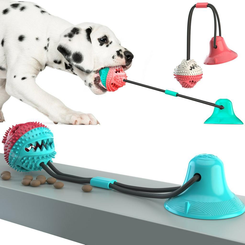 Bola de Brinquedo Interativa Molar Slow Food com V