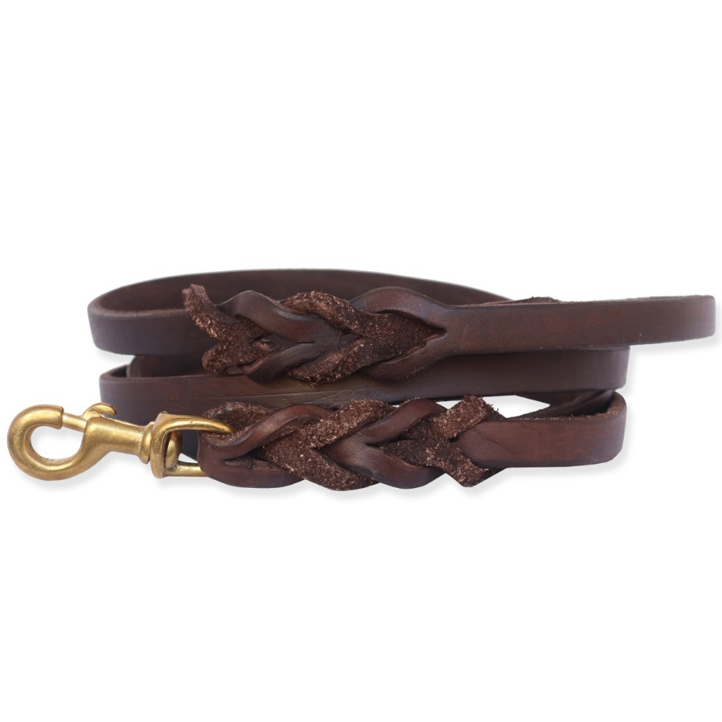 Guia Tática Reforçada Para Passeio Treinamento C