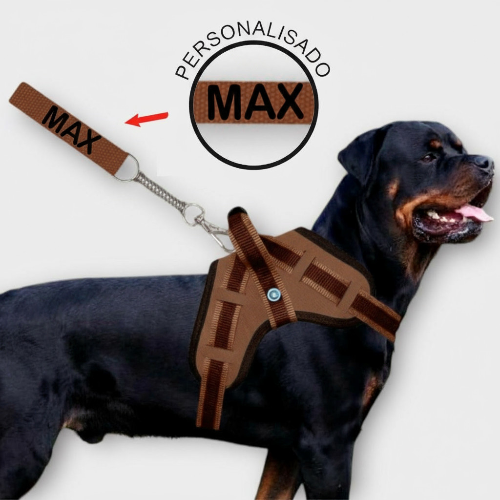 Coleira Identificação Pet Personalizada com Nome