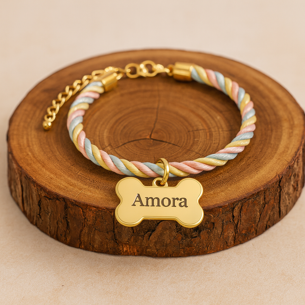 Coleira Colar Pet Pescoço Personalizado Identific