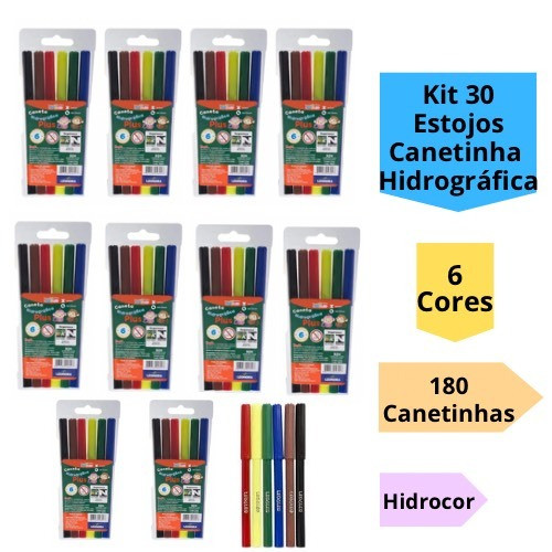 Kit 30 Estojos Canetinha Caneta Hidrográfica 6 Co