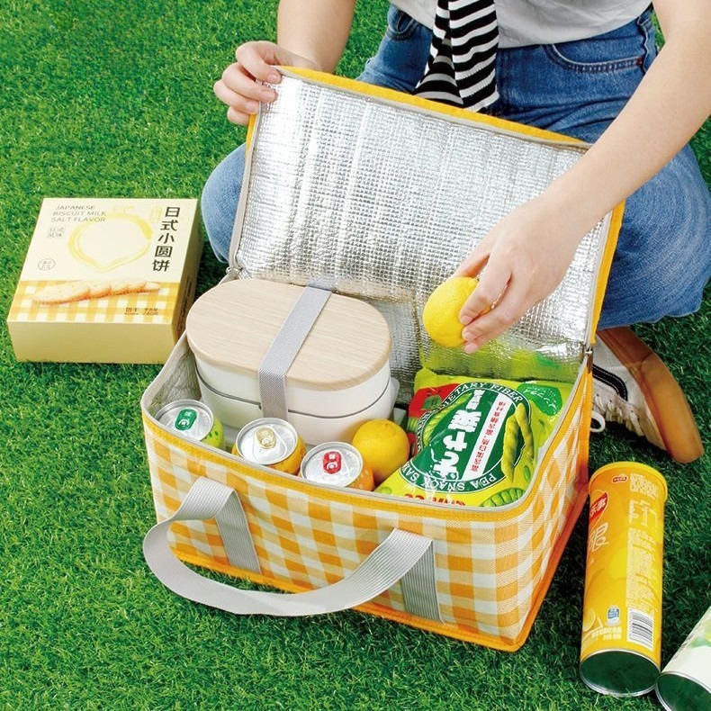 Bolsa Térmica Dobrável Multiuso Retrátil Para M