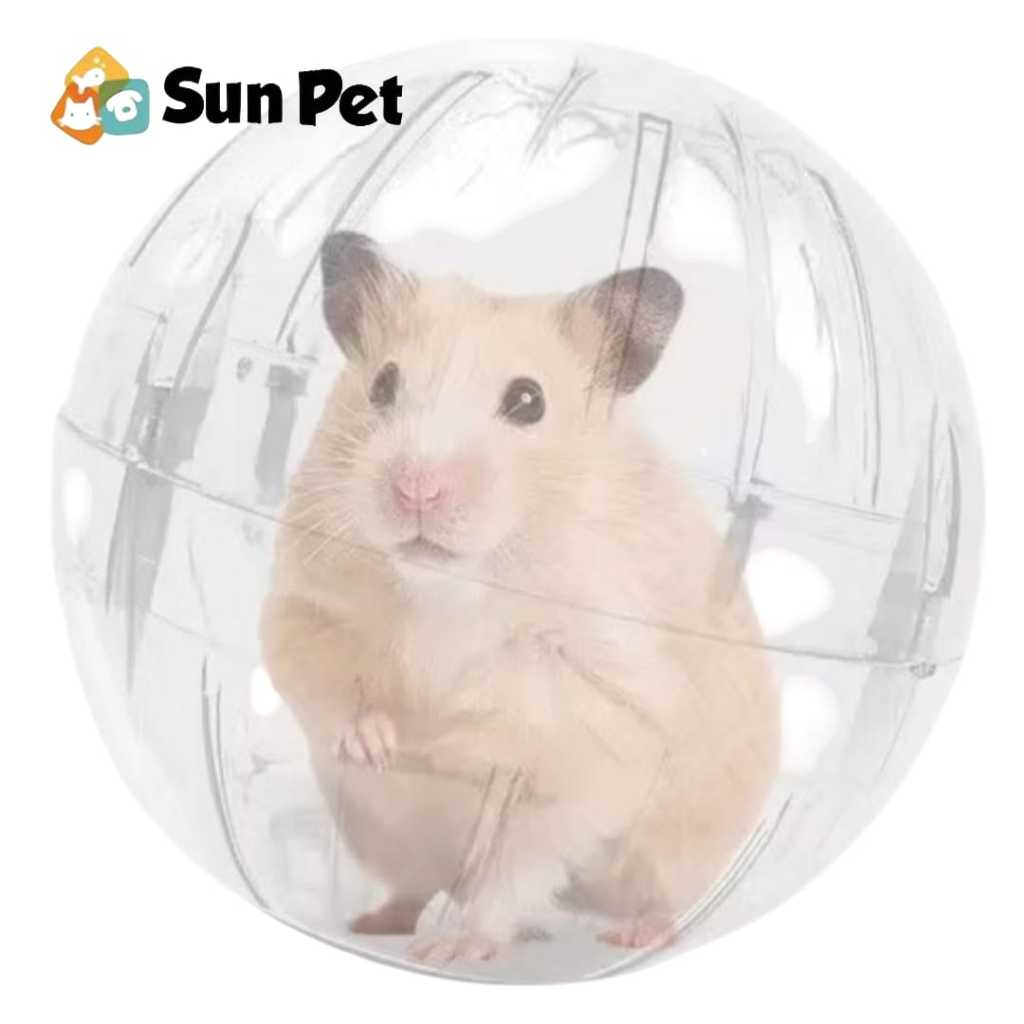 Bola para Hamster Brinquedo Pet Exercício Globo 1