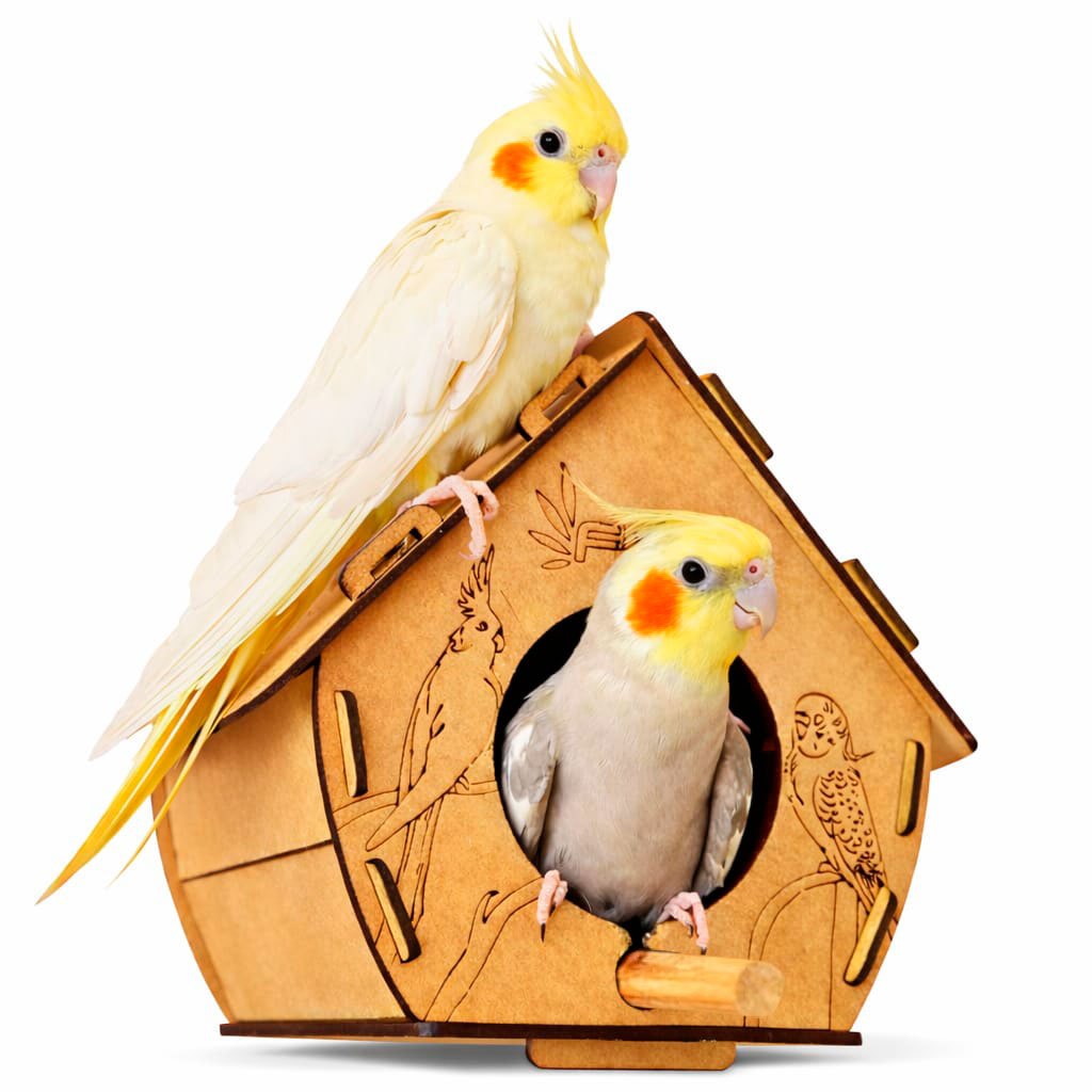 Casinha para calopsita periquito agapornis passari