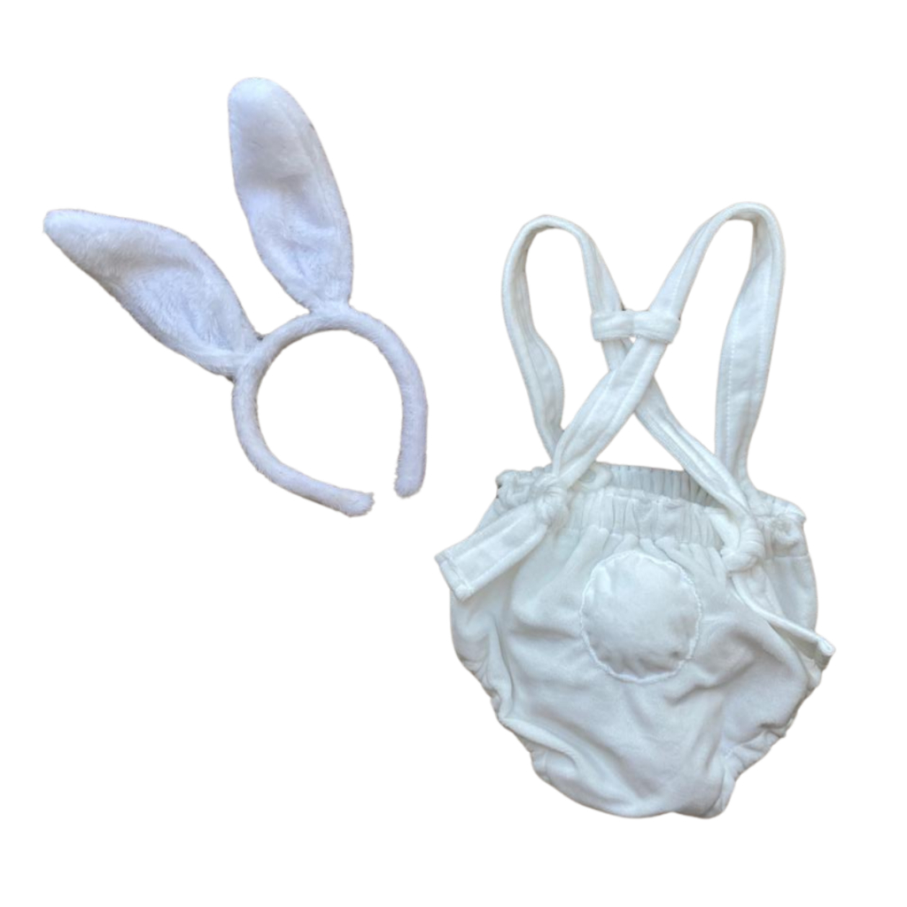 Fantasia de coelhinho da pascoa com orelhinhas par