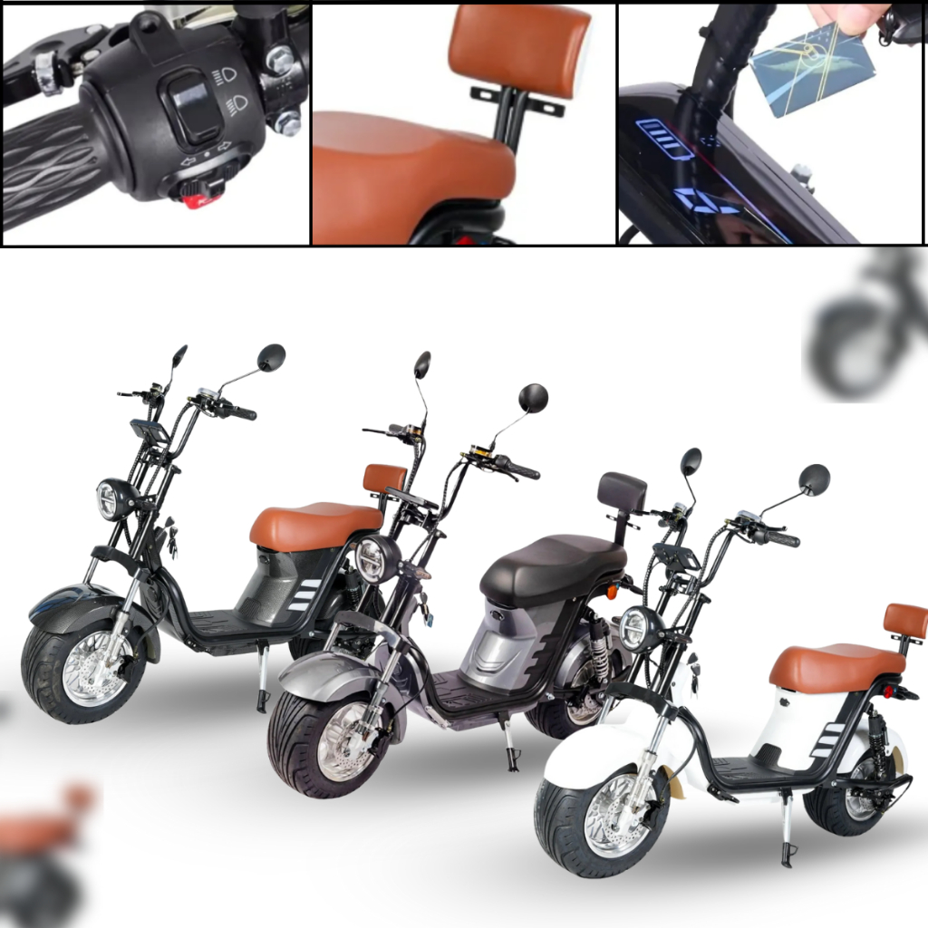 Bicicleta Elétrica Moto Acessível 1000W Scooter 