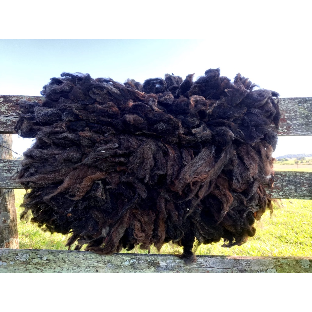 Cochonilhode Lã Pelego coqueiro xergão BMT Preto