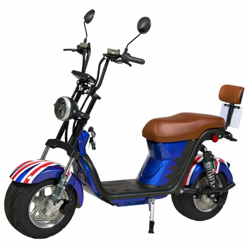 Scooter Bicicleta Bike Elétrica X13 1000W 32km/h 