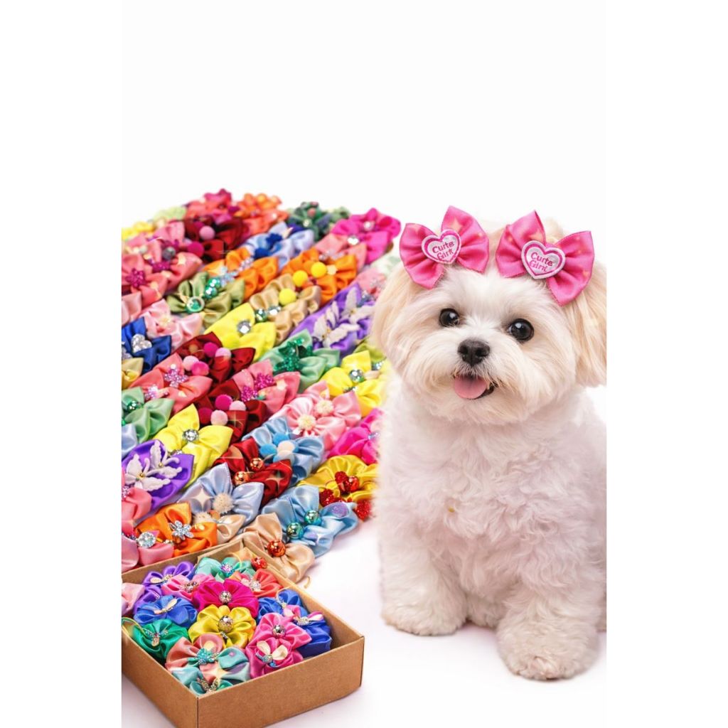 Laços Pet  Kit 10, 20, 30 M / Laço pet / Laço p