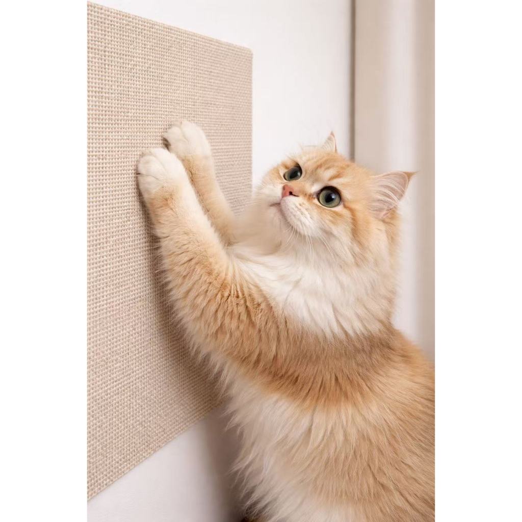 Carpete Adesivo Premium para Gatos  Arranhador Pro