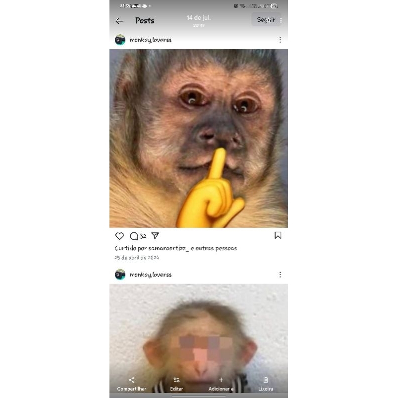 piruleibe, em promoção