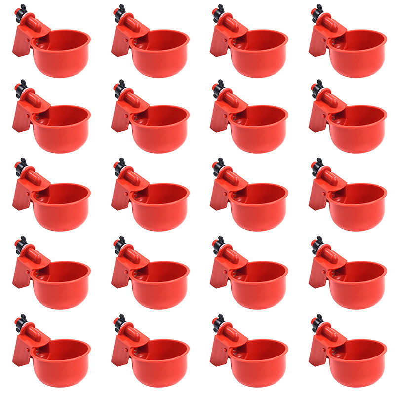 5-10-20 bebedouros automáticos Copo pequeno Bebed