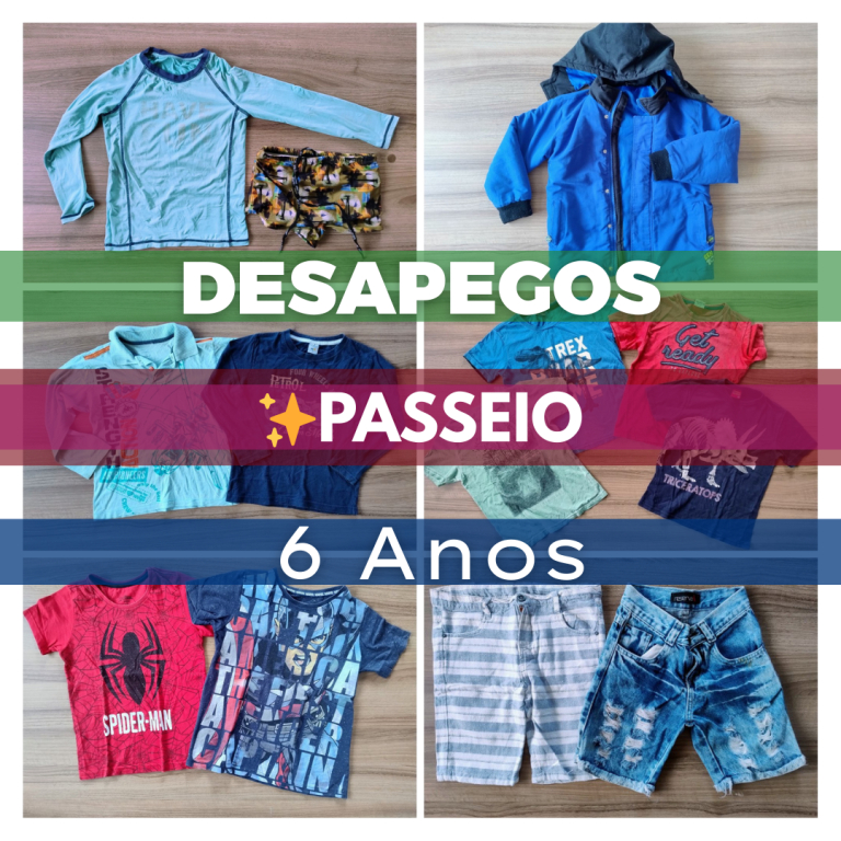 Lotes Roupas Infantil – Tam 6 anos Menino (D