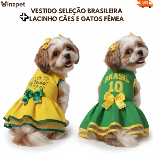 Vestido Brasil para Cachorro  | Roupa Pet Seleçã