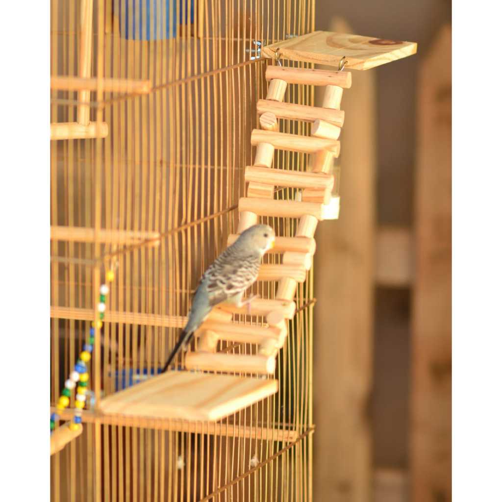 Kit Poleiros Plataforma e Escadinha Para Aves Calo