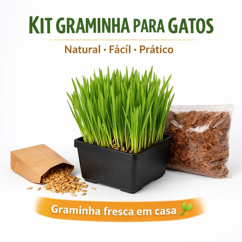 Graminha para Gatos Kit Plantio Fácil  Auxilia Di