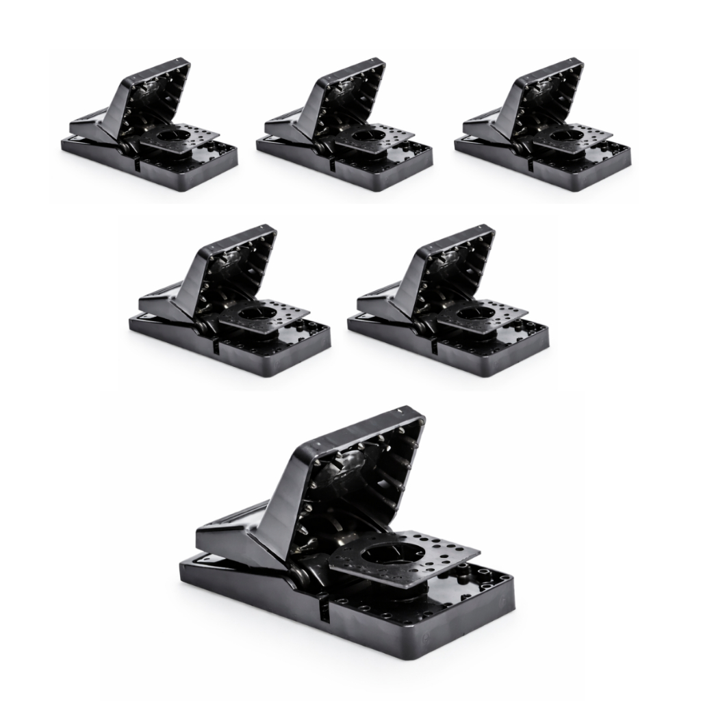 Controle de Pragas Ratos Camundongos Roedores Disp