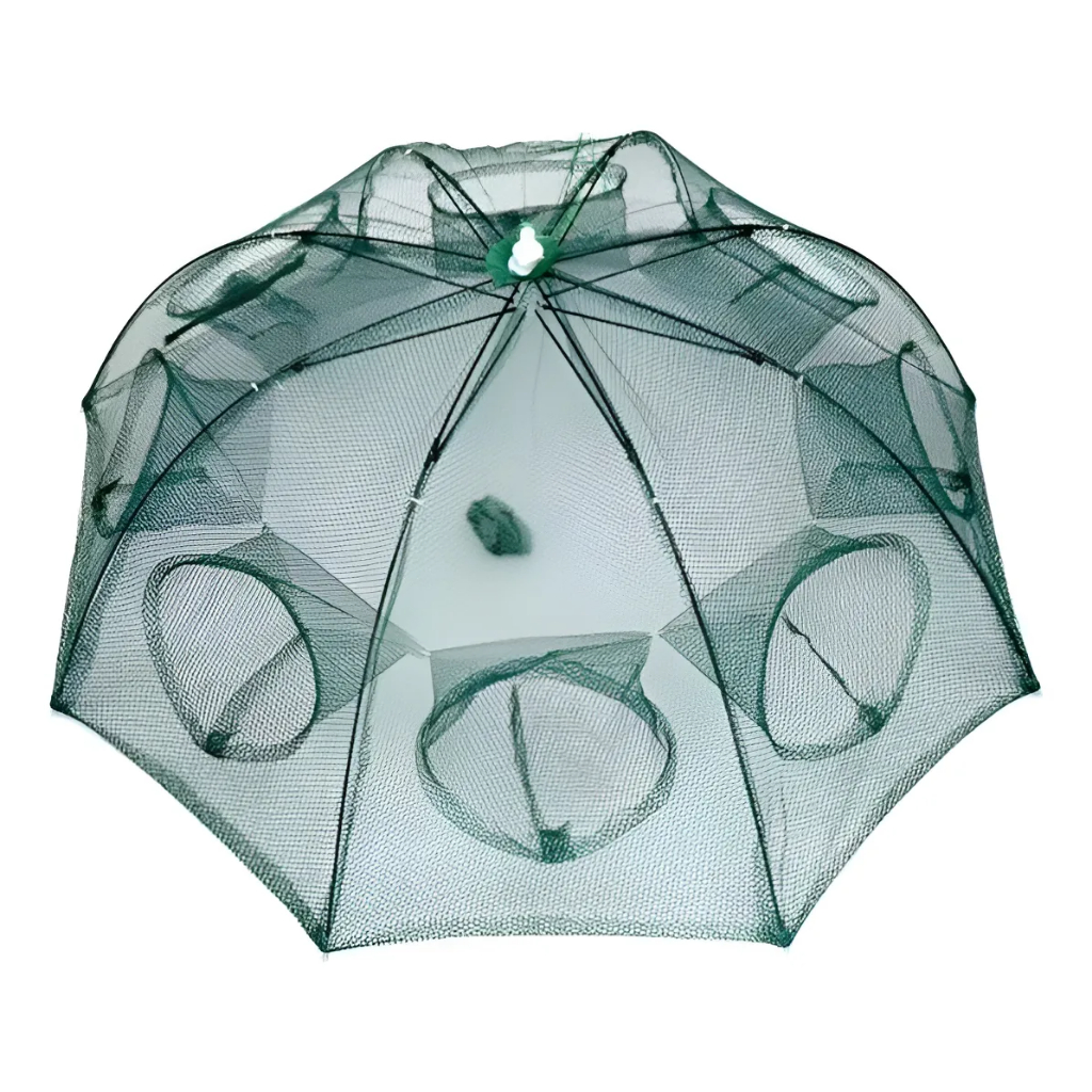 Covo Armadilha Com 8 Furos Peixes Siri Lambari Cam