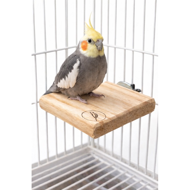 Kit  com 2 Poleiros plataforma de descanso  9x10cm